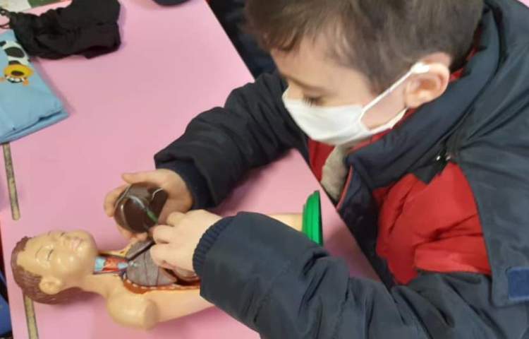 آموزش علوم در مورد ساختار قلب دانش آموزان پایه چهارم دبستان علوی 1