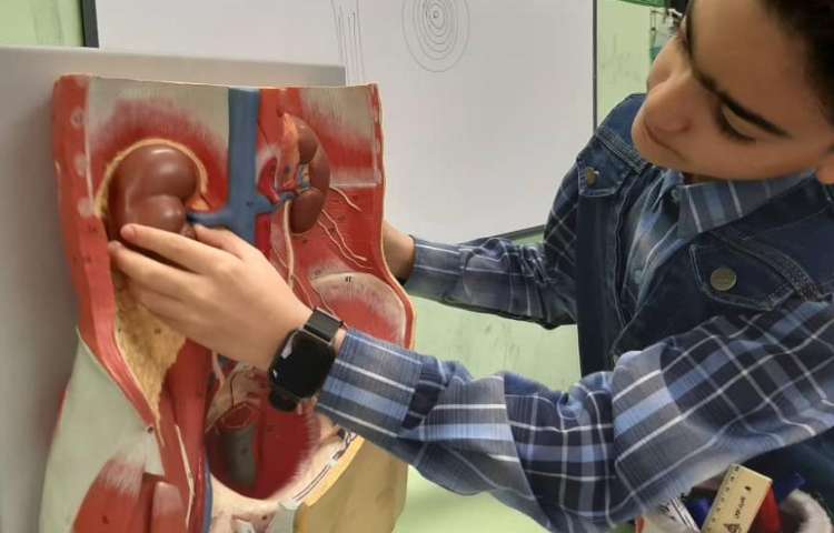 آموزش علوم در مورد ساختار قلب دانش آموزان پایه چهارم دبستان علوی