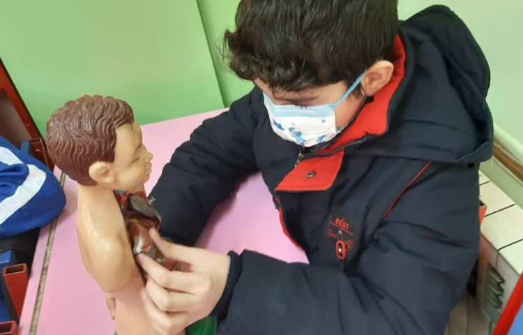 آموزش علوم در مورد ساختار قلب دانش آموزان پایه چهارم دبستان علوی 7