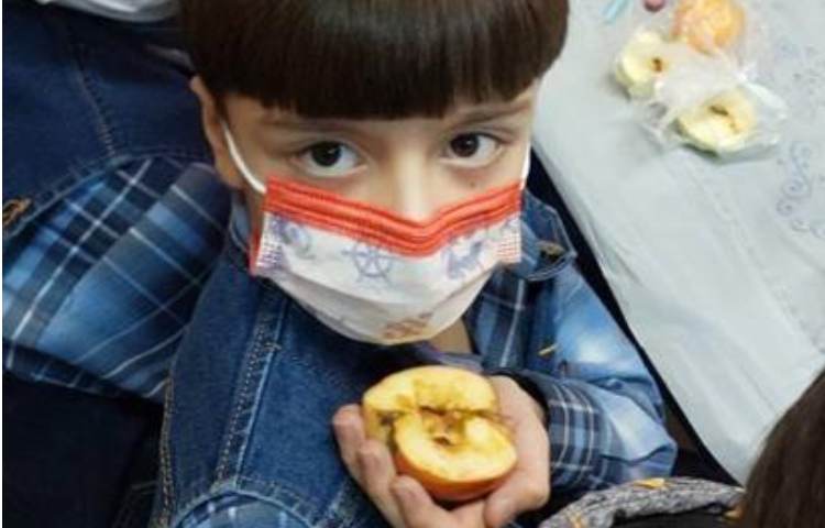 آموزش علوم (مبحث دانه ها )پایه دوم دبستان 1