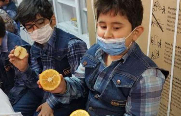 آموزش علوم (مبحث دانه ها )پایه دوم دبستان 2