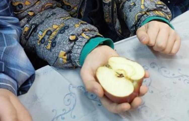 آموزش علوم (مبحث دانه ها )پایه دوم دبستان 3