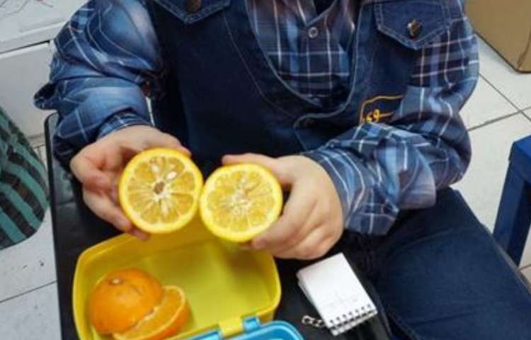 آموزش علوم (مبحث دانه ها )پایه دوم دبستان 4