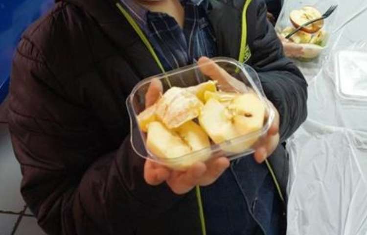 آموزش علوم (مبحث دانه ها )پایه دوم دبستان 6