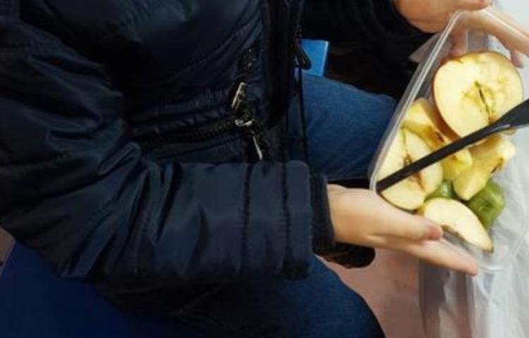 آموزش علوم (مبحث دانه ها )پایه دوم دبستان 7