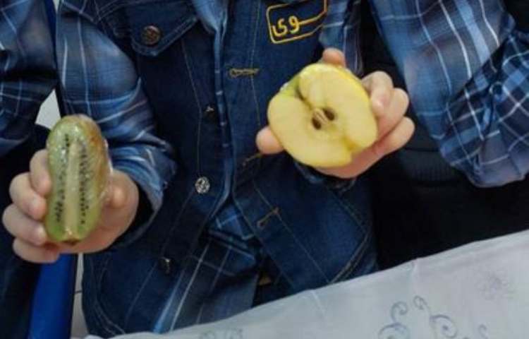 آموزش علوم (مبحث دانه ها )پایه دوم دبستان