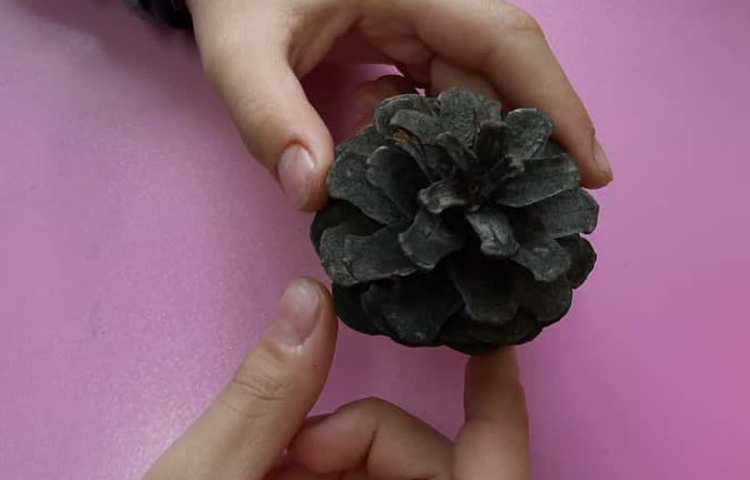 آموزش علوم (مشاهده آوند و اجزای گل)پایه چهارم دبستان 2