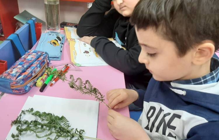 آموزش علوم (مشاهده هاگ سرخس و خزه ) پایه چهارم دبستان 8