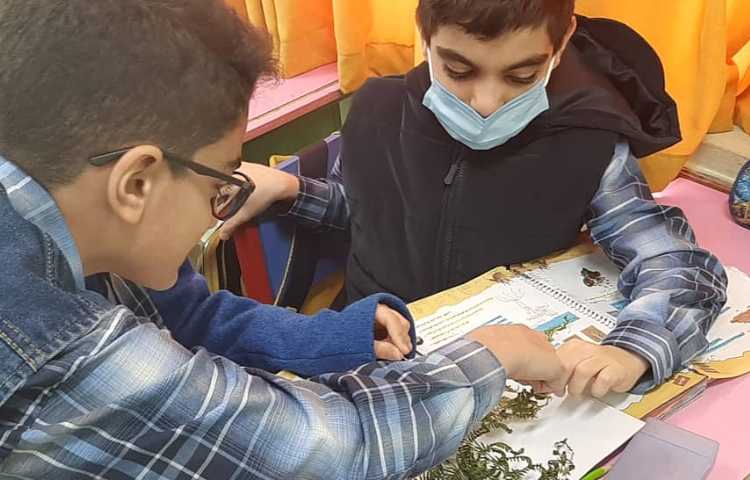 آموزش علوم (مشاهده هاگ سرخس و خزه ) پایه چهارم دبستان