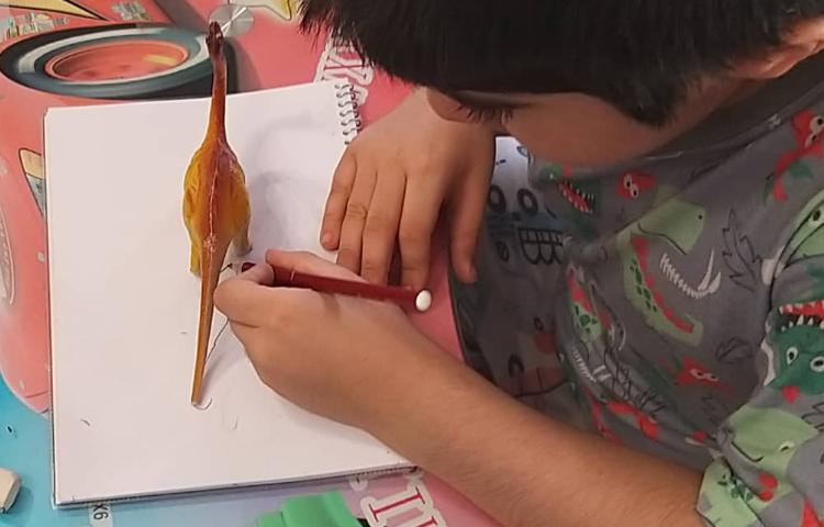 آموزش علوم نور و سایه 4