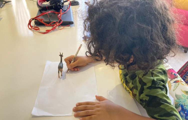 آموزش علوم نور و سایه 5