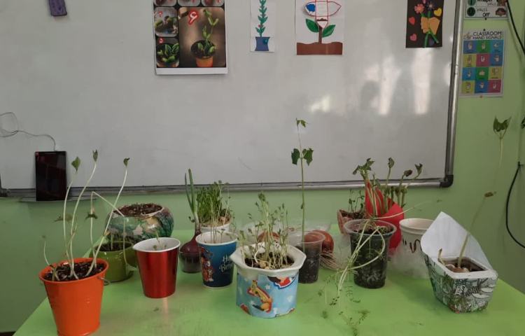 آموزش علوم پایه اول بخش کاشت دانه ها 0