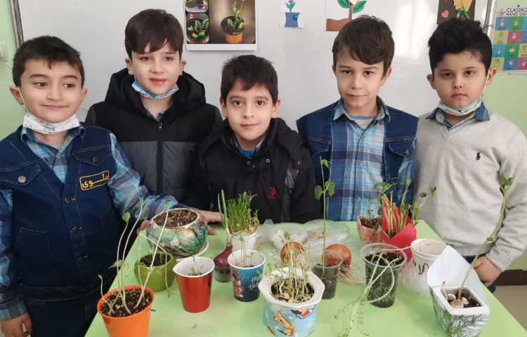 آموزش علوم پایه اول بخش کاشت دانه ها 1