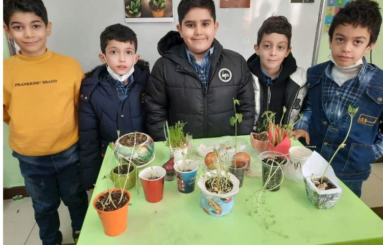 آموزش علوم پایه اول بخش کاشت دانه ها 3