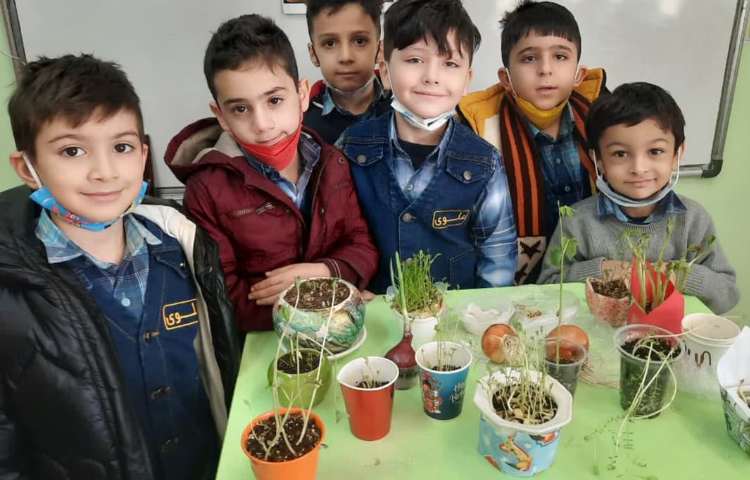 آموزش علوم پایه اول بخش کاشت دانه ها