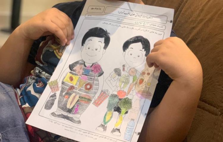 آموزش غذای سالم و نا سالم 4