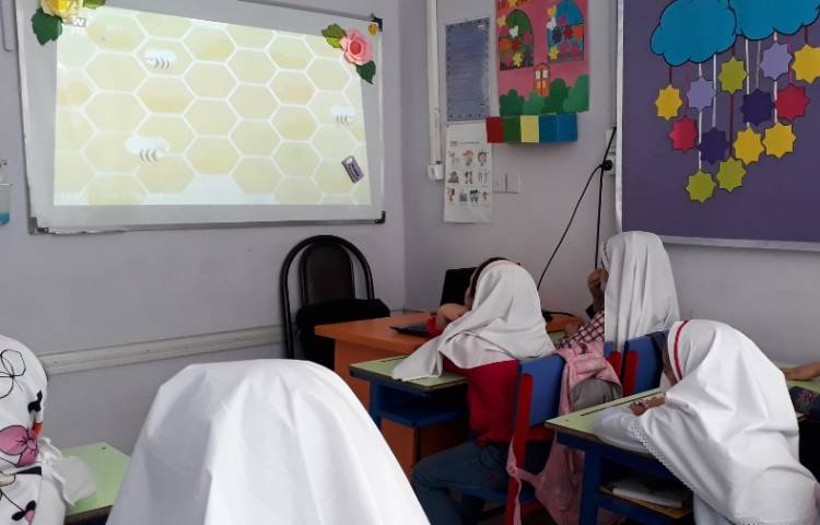 آموزش فواید و کاربرد آشیانه ها