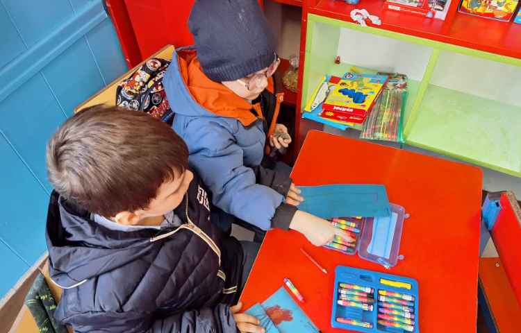 آموزش قسمت های مختلف گیاه 1