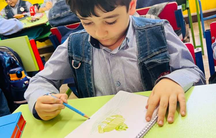 آموزش قورباغه بااشکال هندسی و کارت پستال برای روز پست و 12