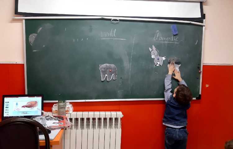 آموزش لغات نوزاد حیوانات و تفکیک حیوانات اهلی از وحشی همراه بازی