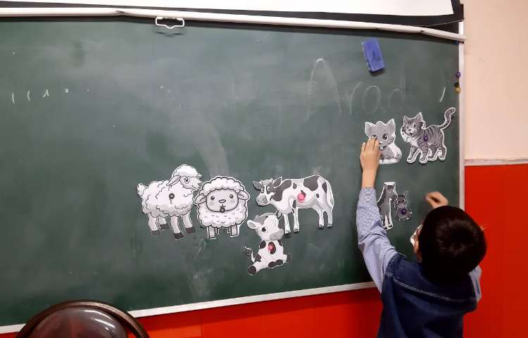 آموزش لغات نوزاد حیوانات و تفکیک حیوانات اهلی از وحشی همراه بازی 7