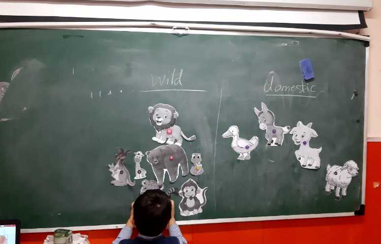 آموزش لغات نوزاد حیوانات و تفکیک حیوانات اهلی از وحشی همراه بازی 11