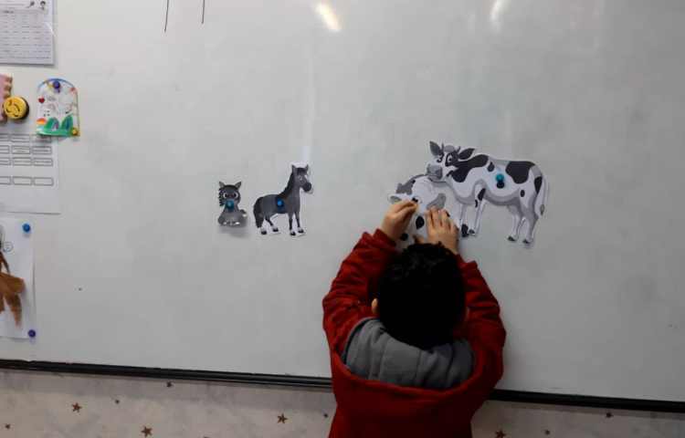 آموزش لغات نوزاد حیوانات و تفکیک حیوانات اهلی از وحشی همراه بازی 12