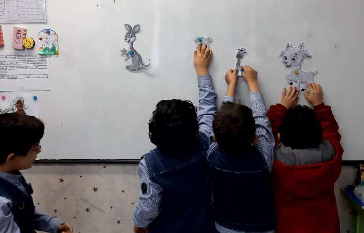 آموزش لغات نوزاد حیوانات و تفکیک حیوانات اهلی از وحشی همراه بازی 13