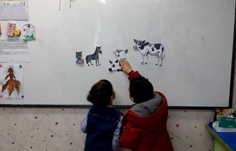 آموزش لغات نوزاد حیوانات و تفکیک حیوانات اهلی از وحشی همراه بازی 14