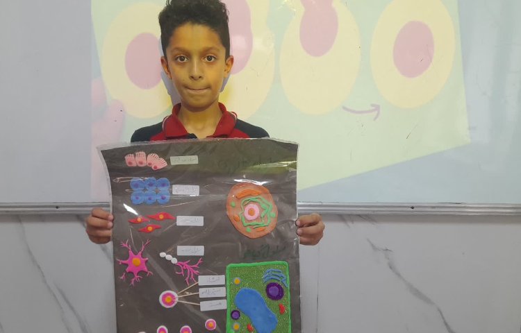 آموزش مبحث تقسیم سلولی و انواع سلولها درس علوم چهارم ستارگان 1 2