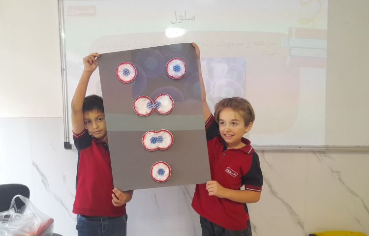 آموزش مبحث تقسیم سلولی و انواع سلولها درس علوم چهارم ستارگان 2 3