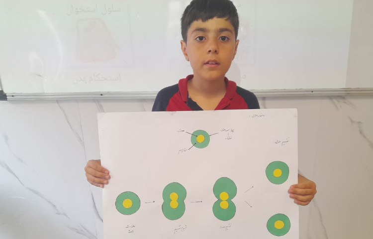 آموزش مبحث تقسیم سلولی و انواع سلولها درس علوم چهارم ستارگان 2 4