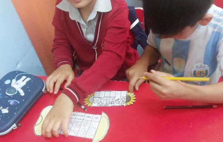 آموزش مراحل رشد گیاهان 3