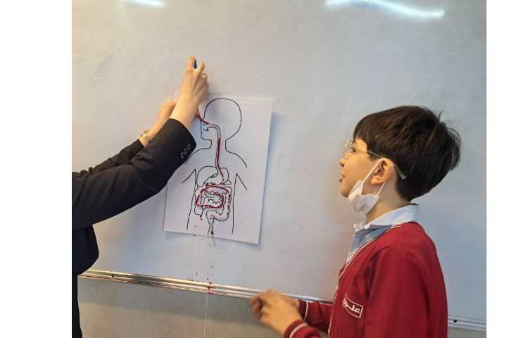 آموزش مراحل هضم غذا به زبان انگلیسی 1