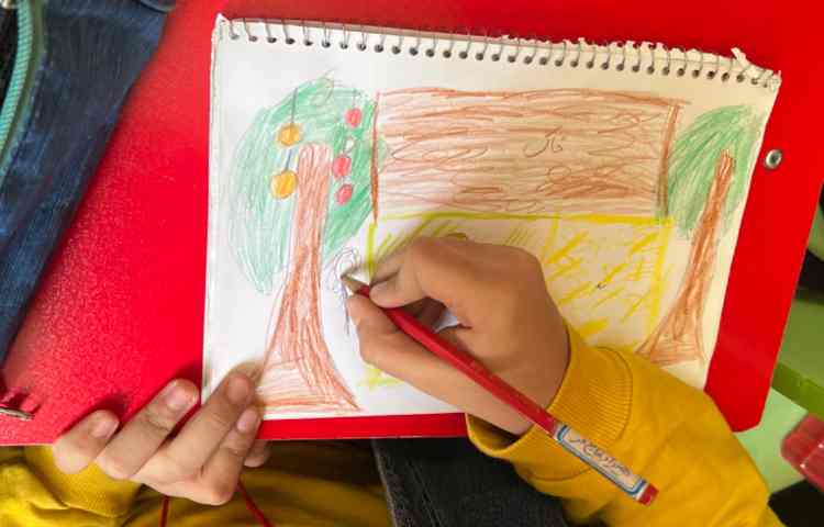 آموزش مزرعه 1