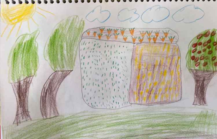 آموزش مزرعه 4