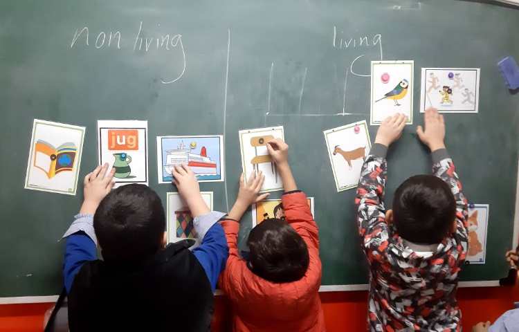 آموزش مفاهیم living and nonliving به همراه بازی