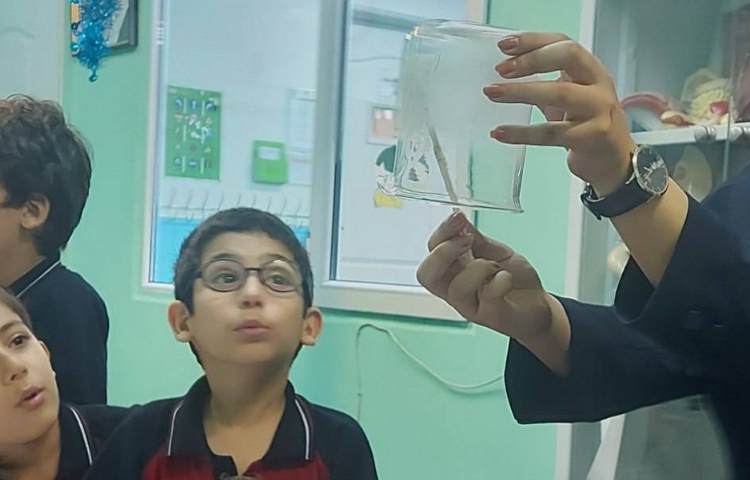 آموزش مفاهیم علوم به صورت عینی با انجام آزمایش و نمایش فیلم 3