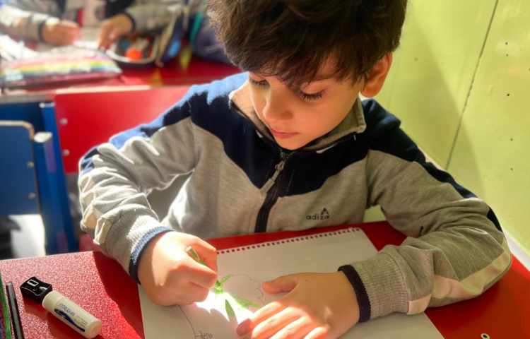 آموزش منظره 8