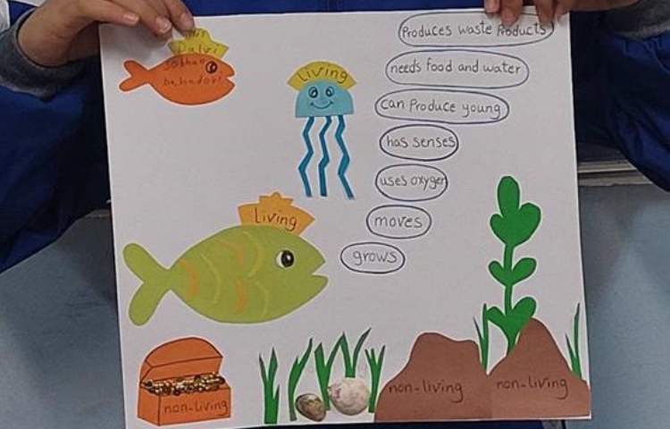 آموزش موجودات زنده و غیر زنده پایه دوم دبستان 5