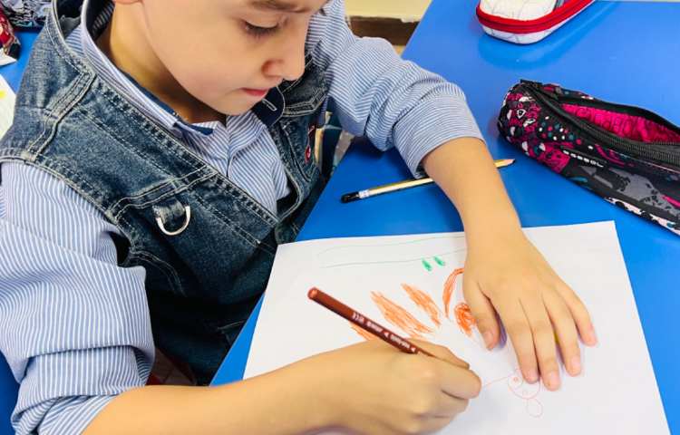 آموزش میمون بااشکال هندسی 1