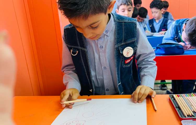 آموزش میمون بااشکال هندسی 2