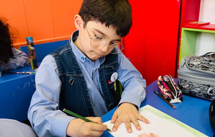 آموزش میمون بااشکال هندسی 3