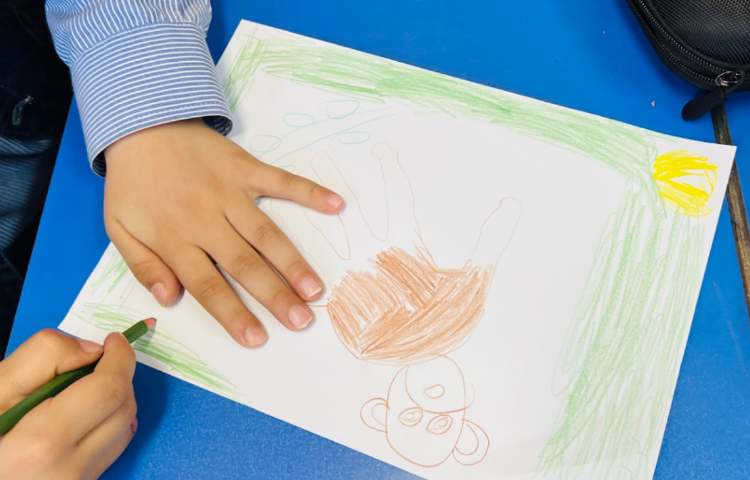 آموزش میمون بااشکال هندسی 5