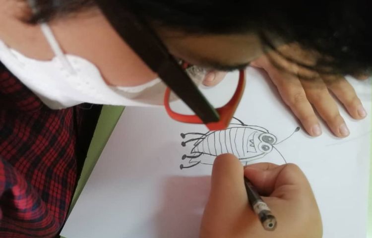 آموزش نقاشی حشرات به همراه ترکیب رنگ ها 3