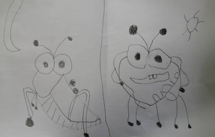 آموزش نقاشی حشرات به همراه ترکیب رنگ ها 6