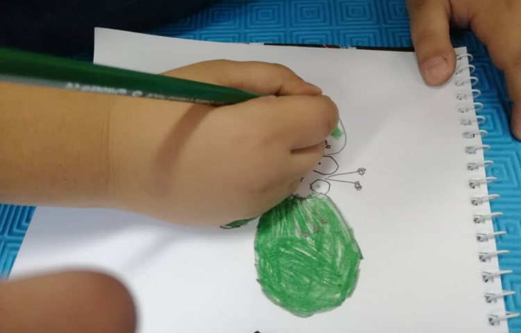 آموزش نقاشی حشرات 1