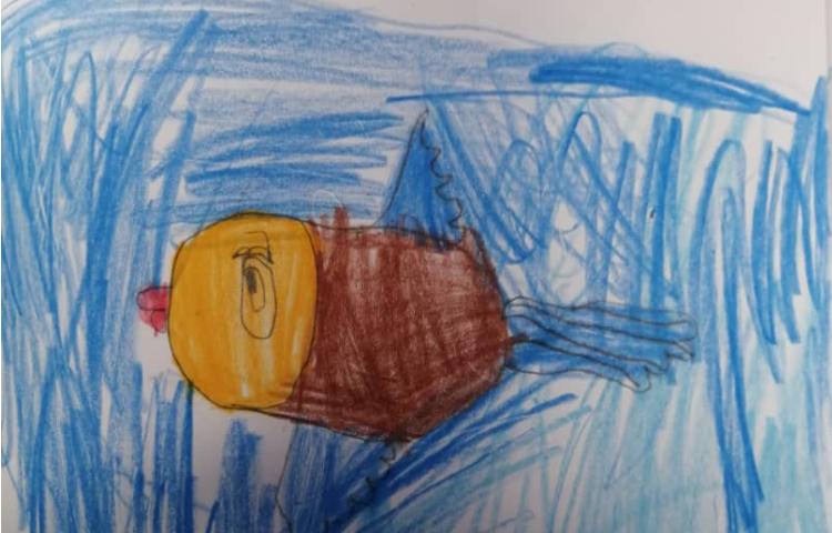 آموزش نقاشی حشرات 8