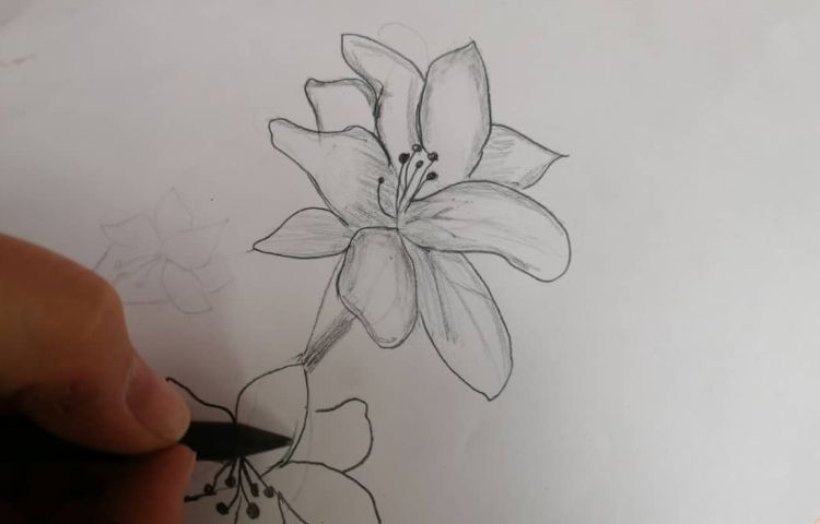 آموزش نقاشی سایه رنگ 1