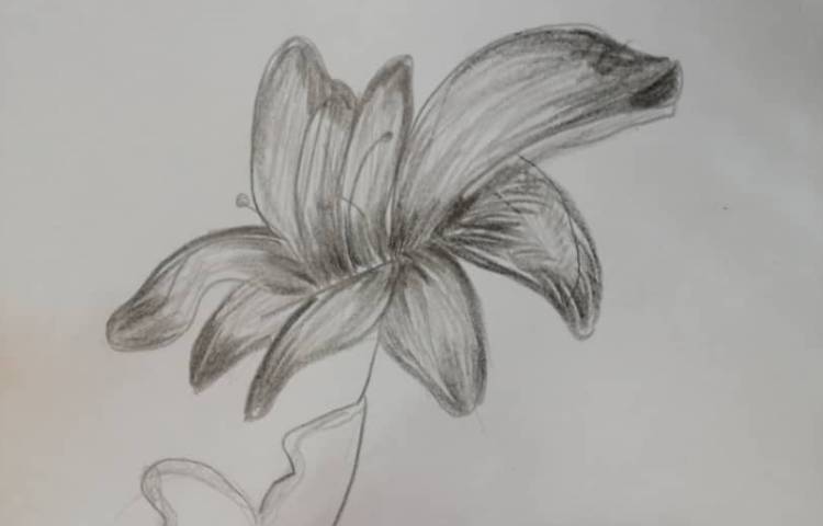 آموزش نقاشی سایه رنگ 2